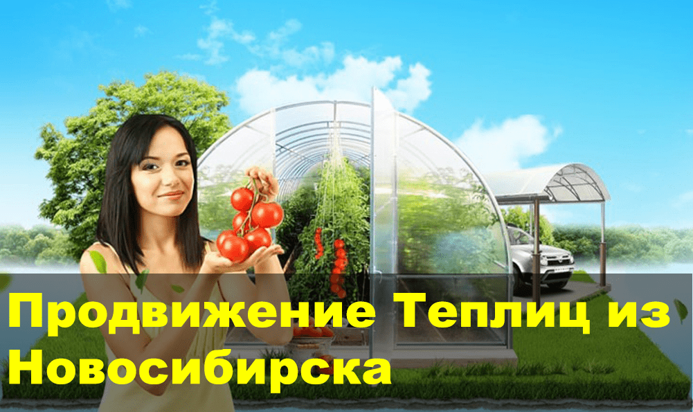 Продажа теплиц в Новосибирске: 560 лидов по 270 руб